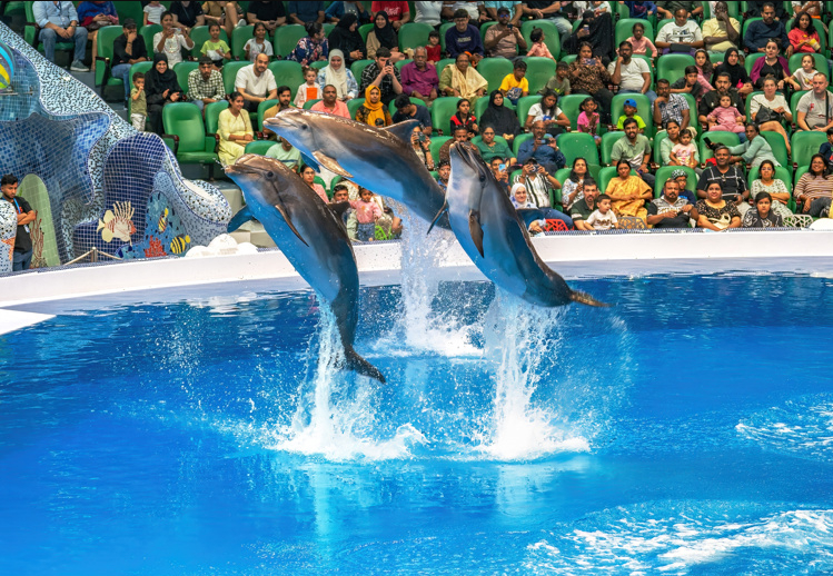 Dubai Dolphinarium