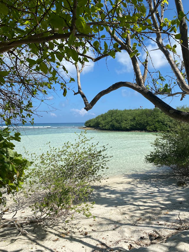 The Beautiful Thulusdhoo Island