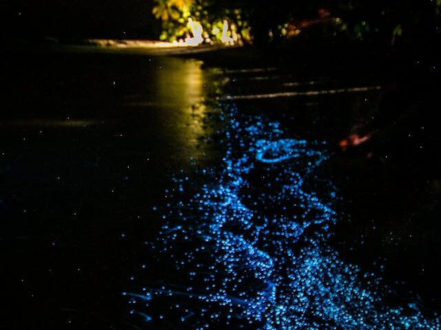 The Stunning Vaadhoo Island