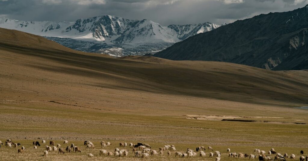 Zanskar Valley